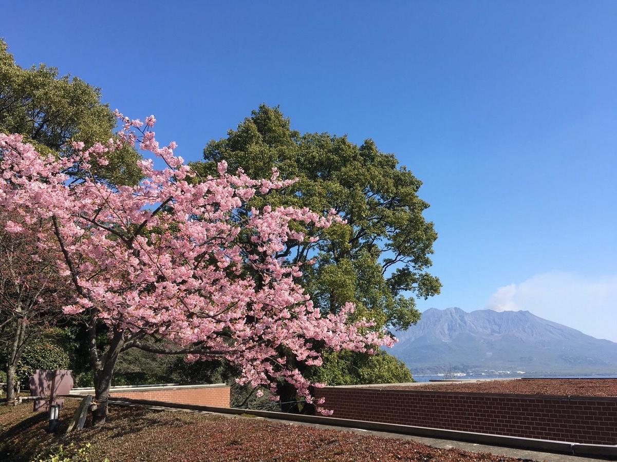 Shiroyama Hotel Kagoshima Exterior photo